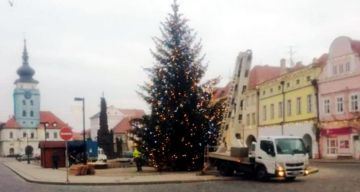 Strom_Žatec_zkouška.jpg